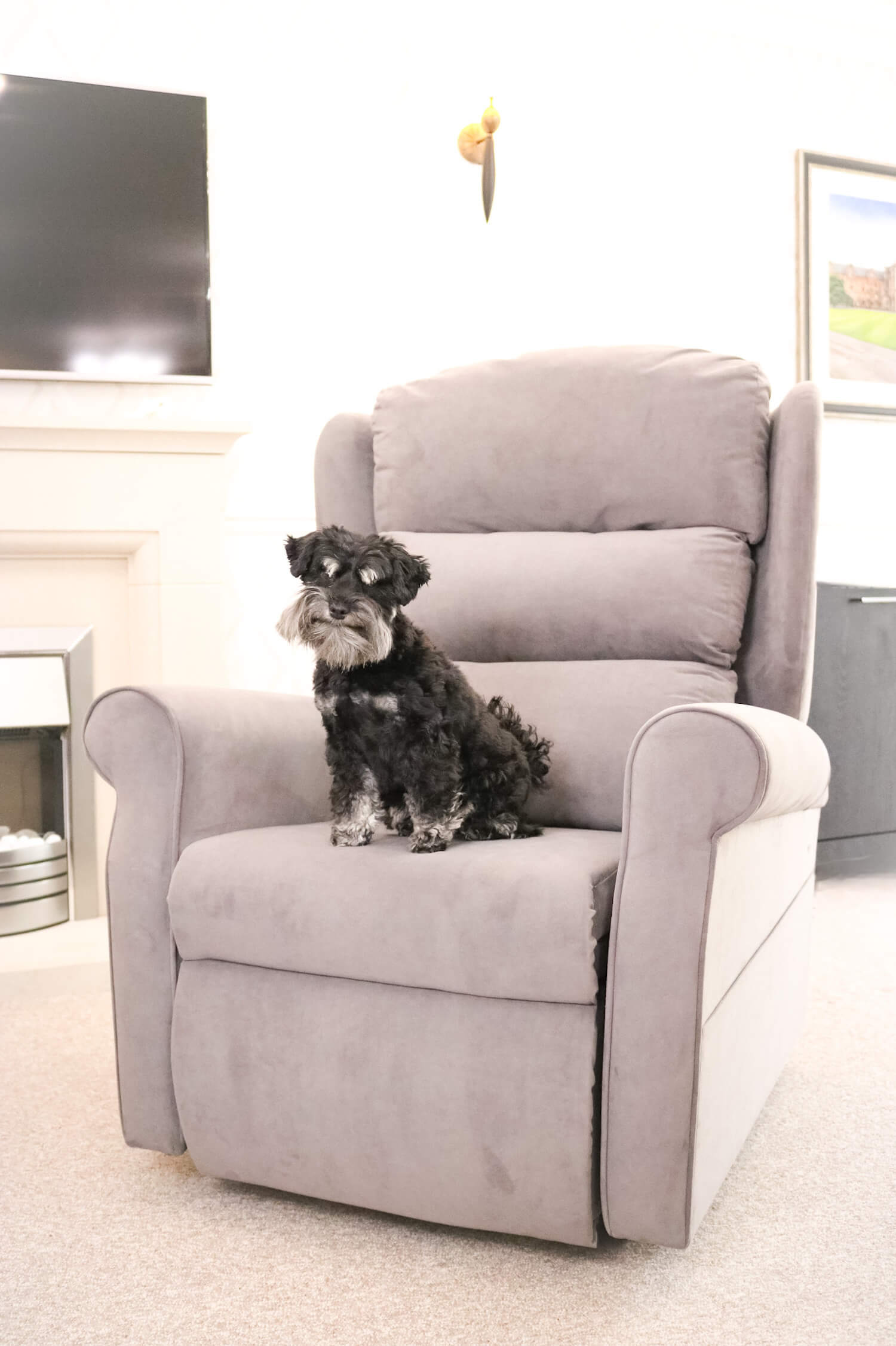 Heavenly Riser Recliner Chairs JR Recliners